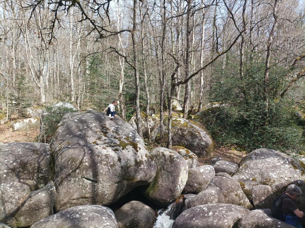 Gite Le Coumis 1370 Saint-Salvy-de-la-Balme المظهر الخارجي الصورة